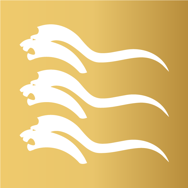 dreilöwen Signet